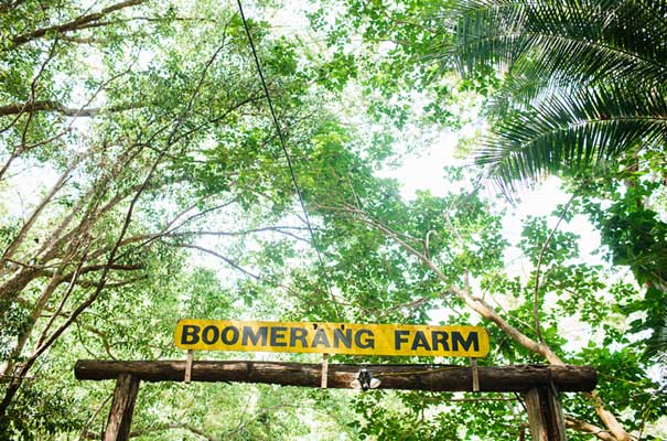 boomerang-farm-queensland-wedding-yellow-flower-crown