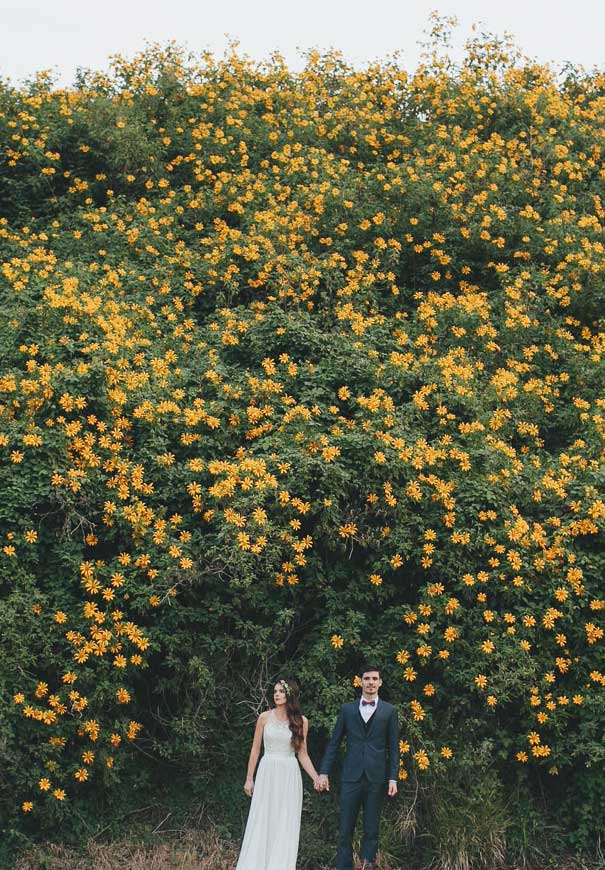 QLD-daisies-mapleton-backyard-wedding-queesnaland-photographer5