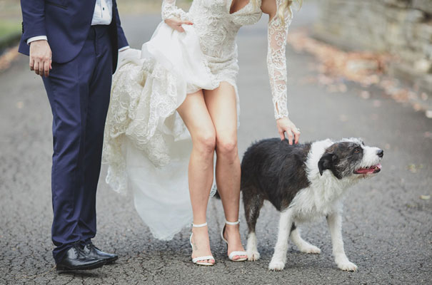 steven-khalil-bridal-gown-wedding-dress-zebra-zoo-themed-wedding13