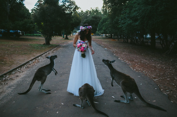 perth-west-australian-kangaroo-wedding-flowers-photographer-inspiration35