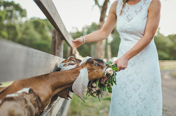 collingwood-childrens-farm-melbourne-wedding-photographer29