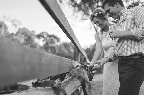collingwood-childrens-farm-melbourne-wedding-photographer30