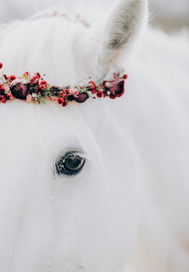 black-wedding-dress-red-flowers-white-horse-floral-crown19