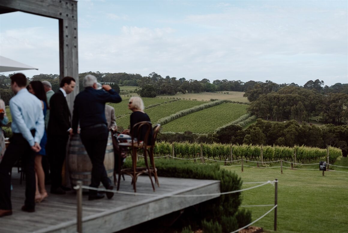 vineyard wedding venue
